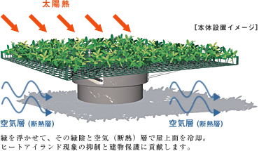 緑を浮かせて、その緑陰と空気（断熱）層で屋上面を冷却。
ヒートアイランド現象の抑制と建物保護に貢献します。