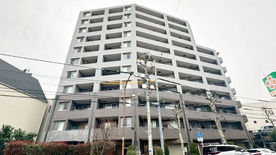 アーバンビュー新大塚プラタナス通り